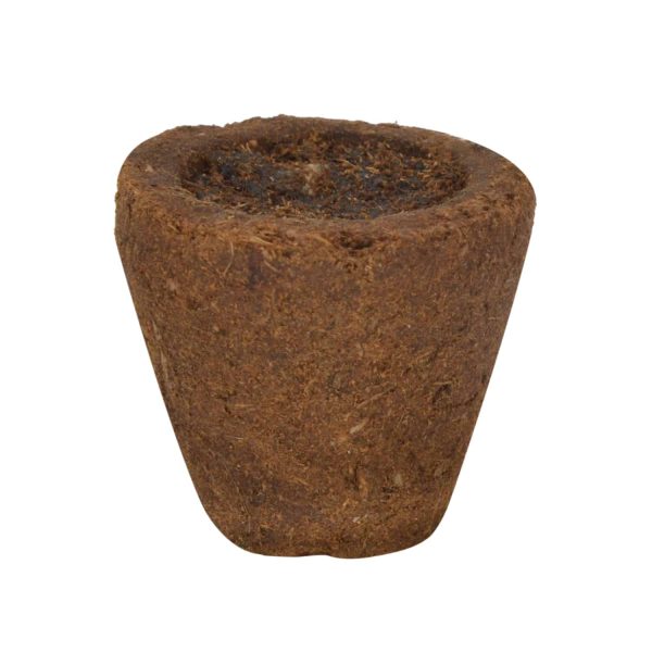 cow dung cups